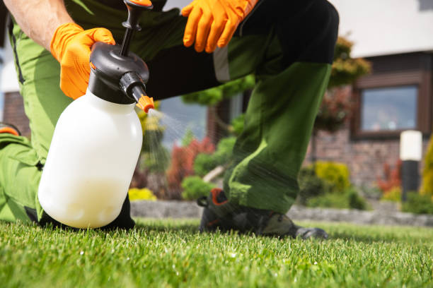 Best Cockroach Control Services  in Harvey, LA