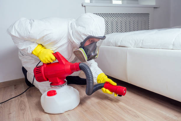 Best Residential Pest Control  in Harvey, LA