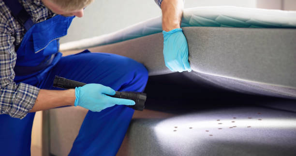 Best Mosquito Control Services  in Harvey, LA