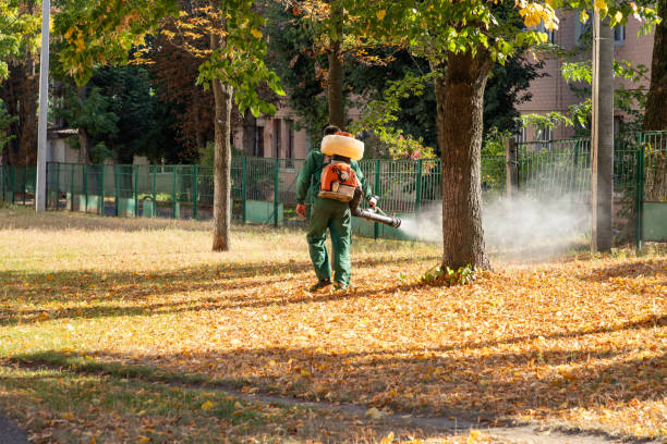 Best Pest Inspection Near Me  in Harvey, LA