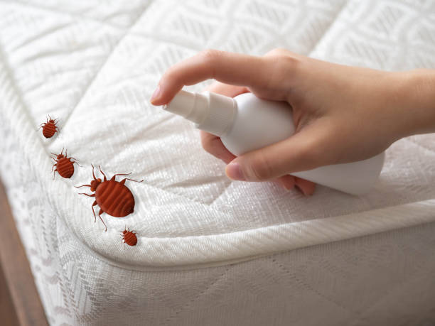 Best Pest Control Near Me in Harvey, LA
