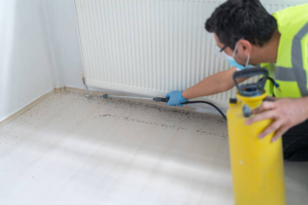Professional Pest Control in Harvey, LA
