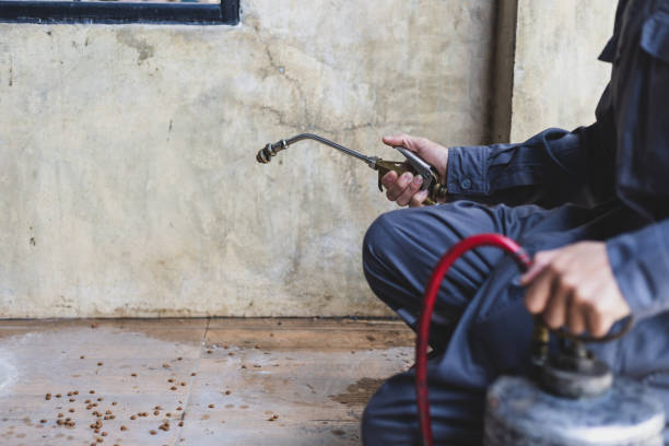 Best Pest Control Cost  in Harvey, LA